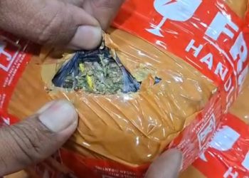 Polisi Tangkap Pengedar Ganja 3,6 Kg di Tanah Abang, Jaringan Masih Dikembangkan