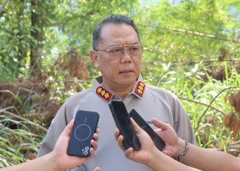 Hendak Kabur Saat Ditangkap, Satu Anggota KKB Berhasil Dilumpuhkan Satgas Ops Damai Cartenz di Timika