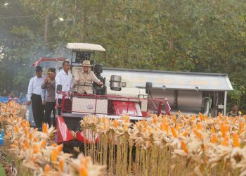 Panen Raya di Tuban, Presiden Prabowo Apresiasi Peran Polri Wujudkan Ketahanan Pangan Nasional