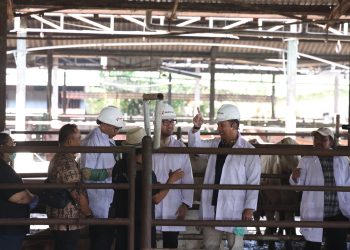 Polda Metro Jaya Cek Hewan Kurban di Dharma Jaya Jelang Idul Adha