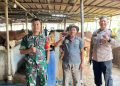 Jelang Idul Adha, Bhabinkamtibmas Bantargebang Jaga Lapak Hewan Kurban dari Penipuan dan Hipnotis