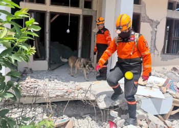 K-9 SAR Polri Perkuat Operasi Kemanusiaan Pascagempa NTT