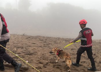 Unit Polsatwa Ditsamapta Polda Sumbar Turunkan K9 Spesifikasi SAR Telusuri Jalur Air Bah