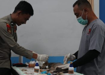 Polri Sterilisasi Puluhan Kucing, Dukung Pengendalian Populasi Hewan secara Bertanggung Jawab